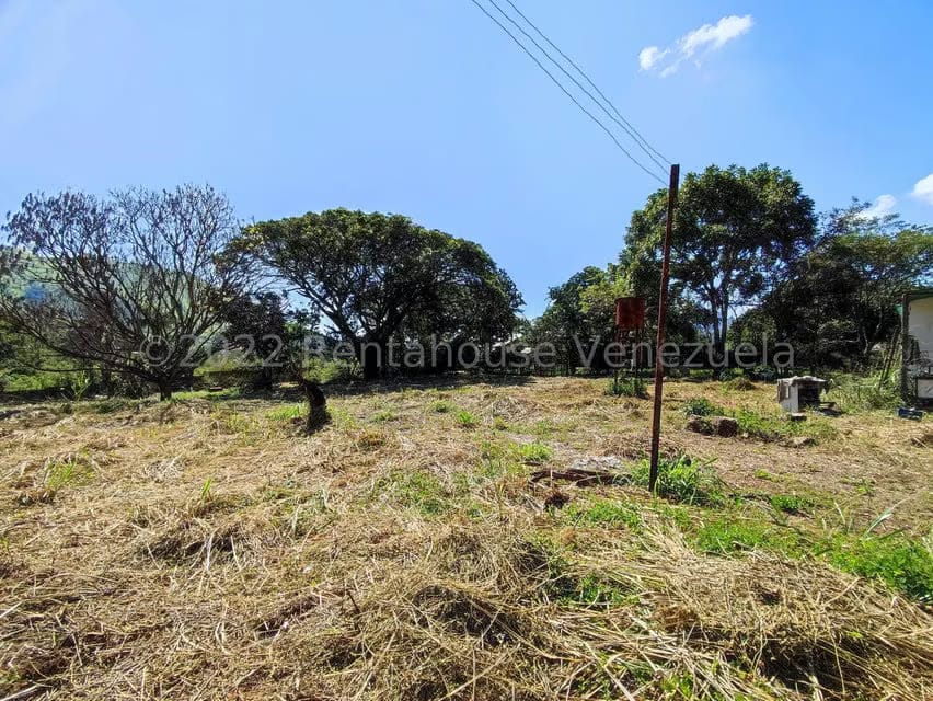 Terreno (Industrial) en Venta en Villa Virginia, Aragua - 9