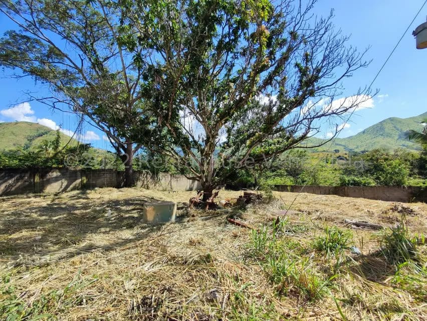 Terreno (Industrial) en Venta en Villa Virginia, Aragua - 10