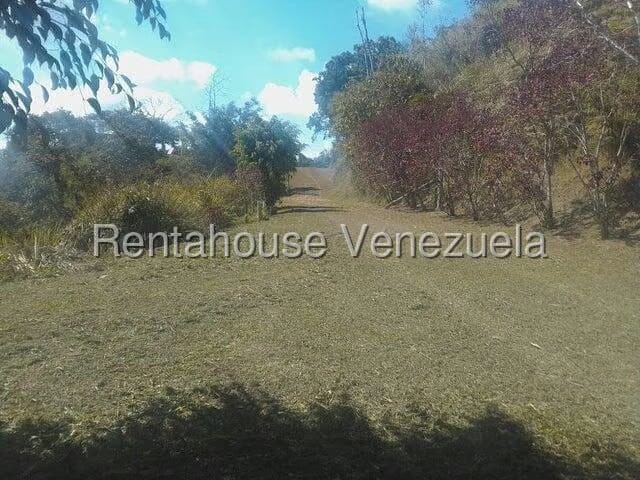 Terreno (Comercial) en Venta en Gavilan, Distrito Metropolitano