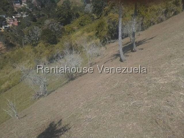 Terreno (Comercial) en Venta en Gavilan, Distrito Metropolitano - 22