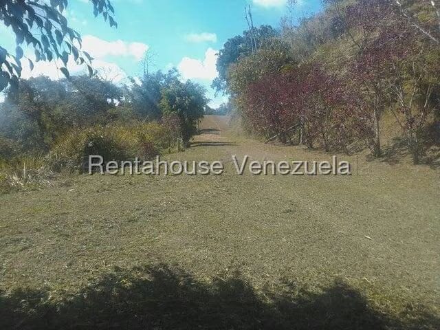 Terreno (Comercial) en Venta en Gavilan, Distrito Metropolitano - 6
