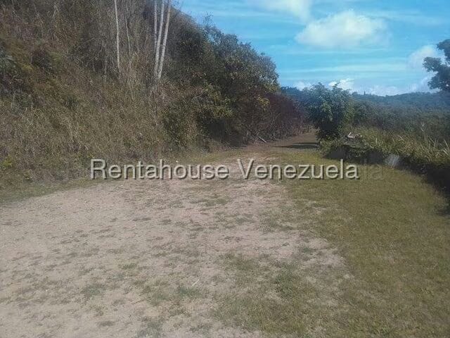 Terreno (Comercial) en Venta en Gavilan, Distrito Metropolitano - 8