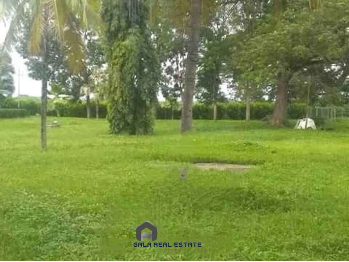 Finca en Venta - Arismendi - El Baúl - Estado Cojedes