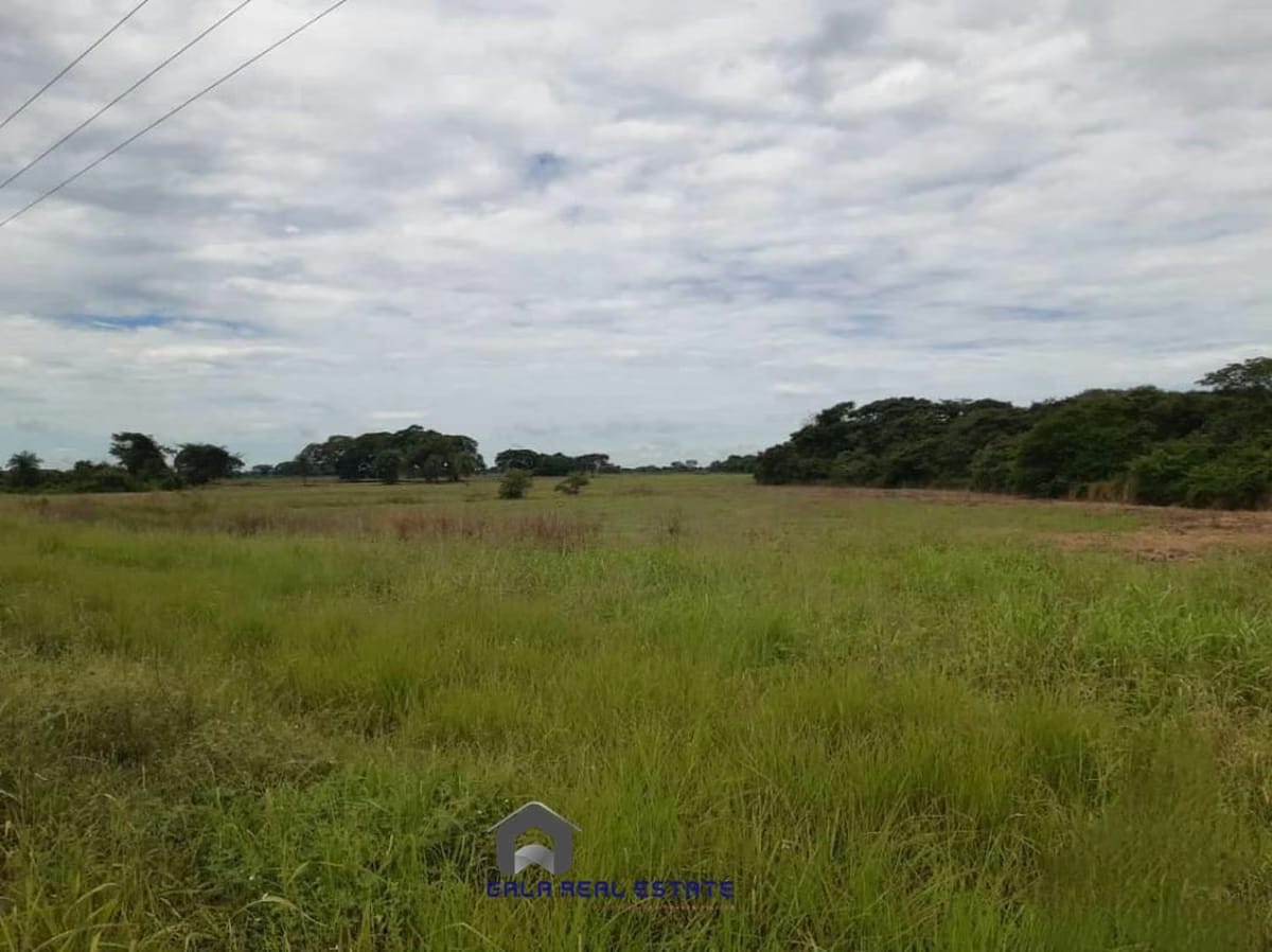 Finca en Venta - Arismendi - El Baúl - Estado Cojedes - 3