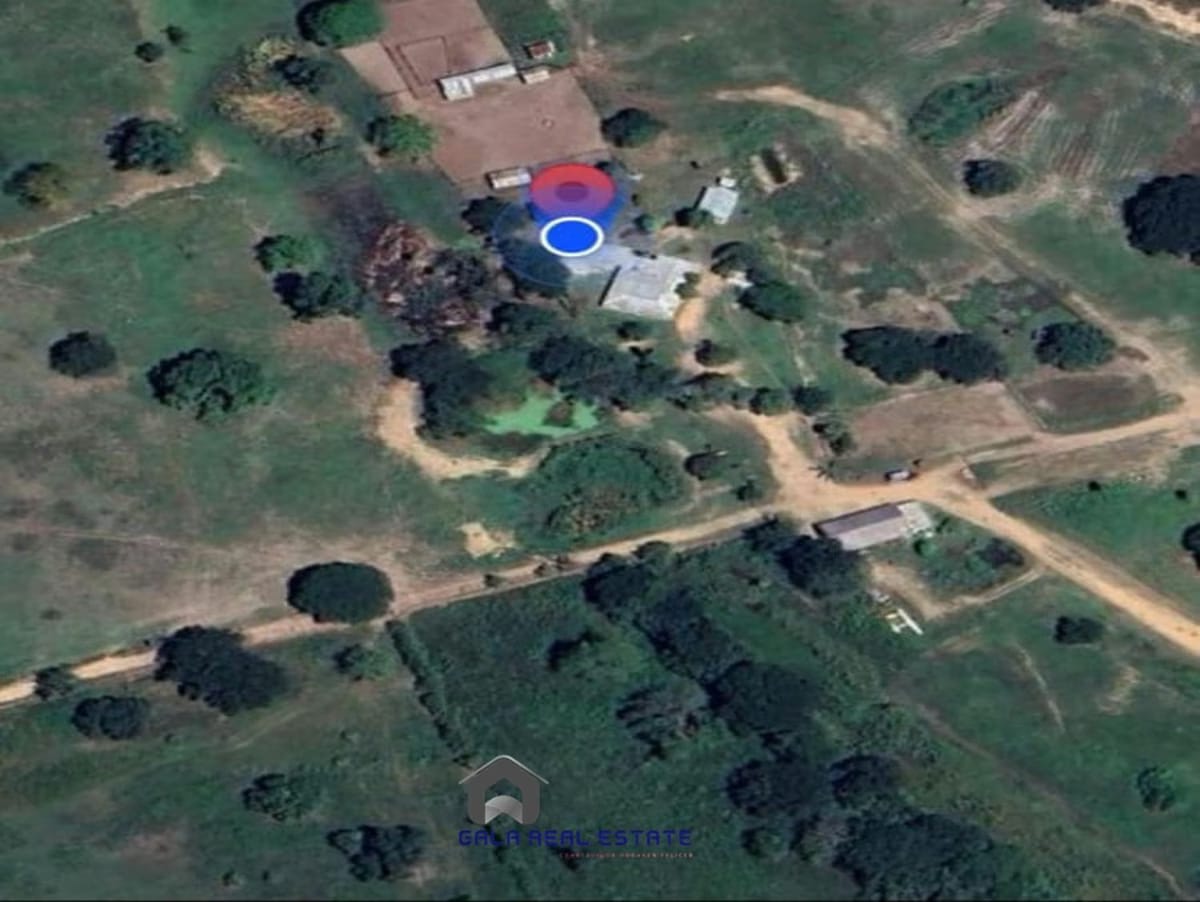 Finca en Venta - Arismendi - El Baúl - Estado Cojedes - 4