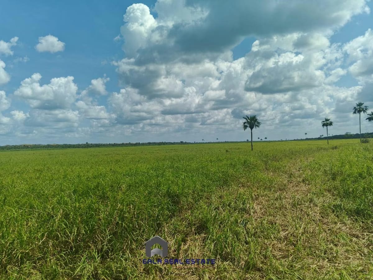 Finca en Venta - Arismendi - El Baúl - Estado Cojedes - 6