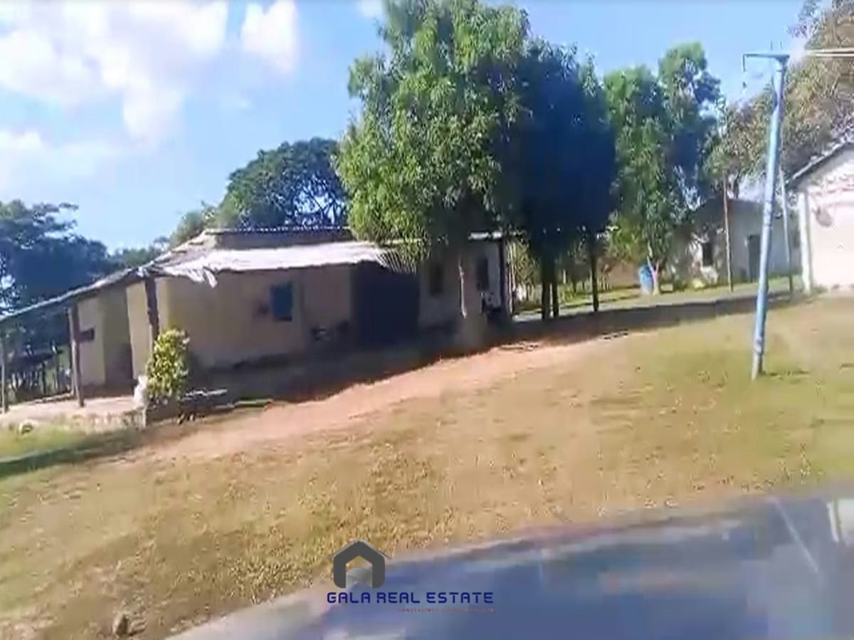 Finca en Venta - Arismendi - El Baúl - Estado Cojedes - 9