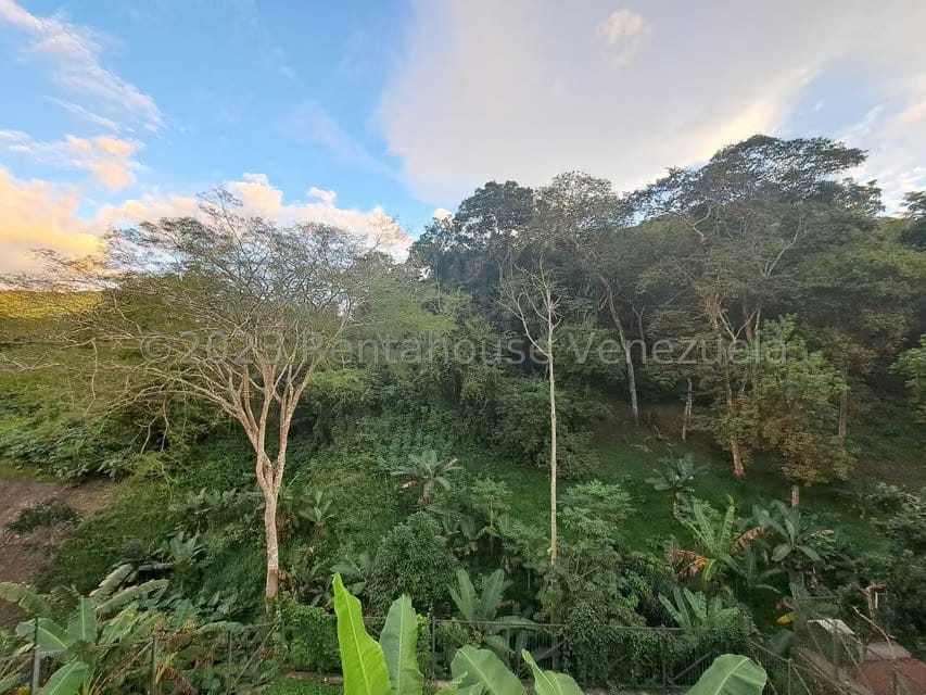 Casa (Multipes Niveles) en Venta en Altos de Guataparo, Carabobo - 59