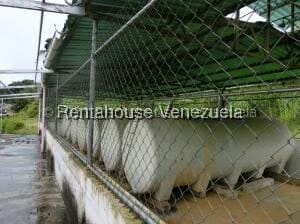 Comercial (Galpon - Deposito) en Venta en Los Montes Verdes, Miranda - 75