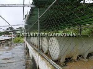 Comercial (Galpon - Deposito) en Venta en Los Montes Verdes, Miranda - 76