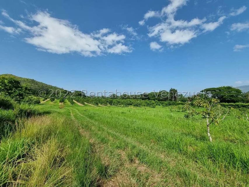 Terreno (Finca) en Venta en Aguirre, Carabobo - 11