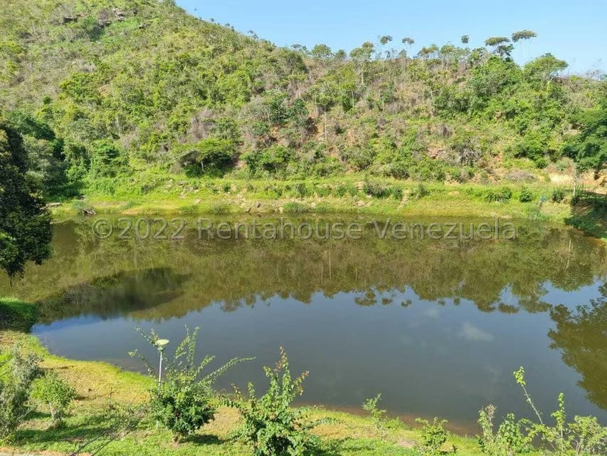 Terreno (Finca) en Venta en Aguirre, Carabobo - 17