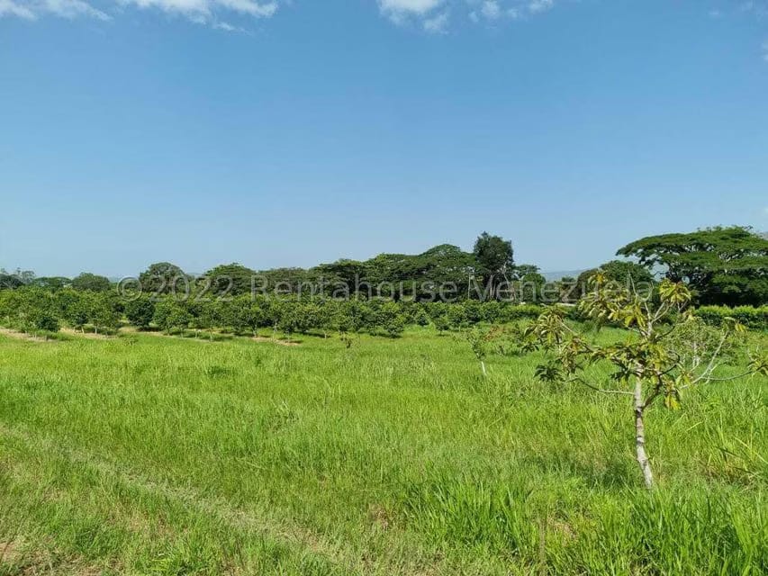 Terreno (Finca) en Venta en Aguirre, Carabobo - 4