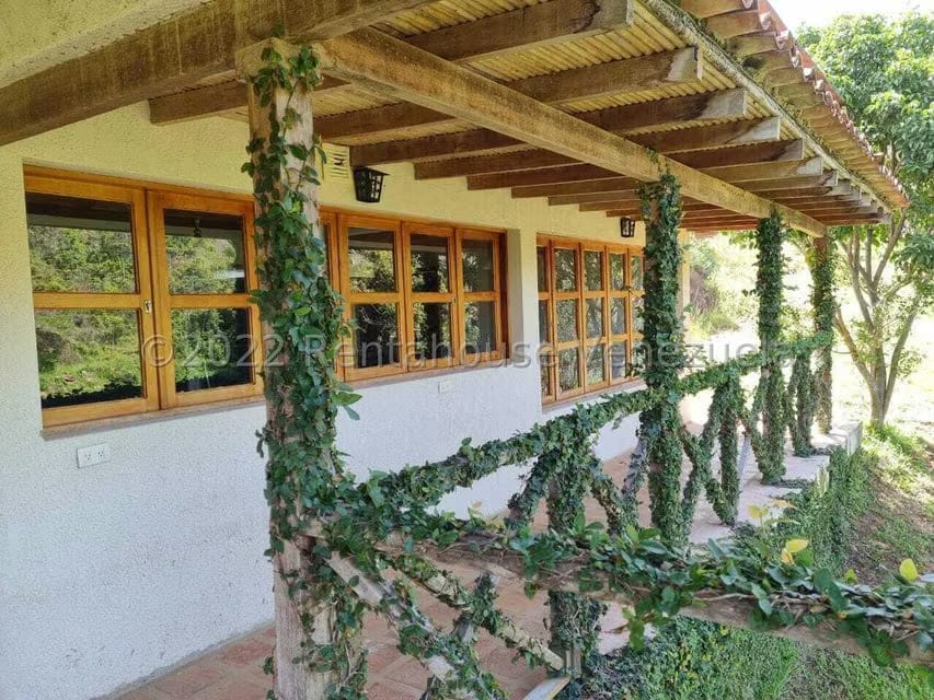 Terreno (Finca) en Venta en Aguirre, Carabobo - 37