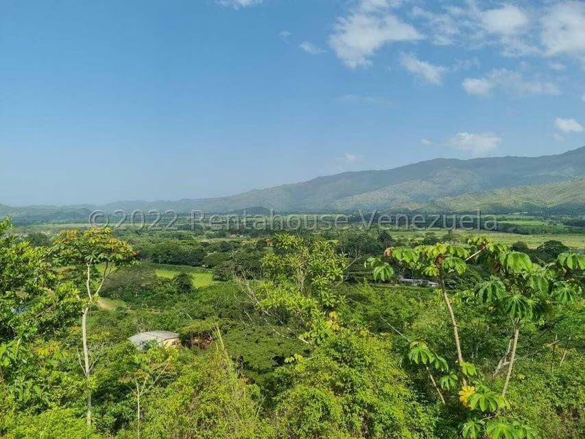 Terreno (Finca) en Venta en Aguirre, Carabobo - 40