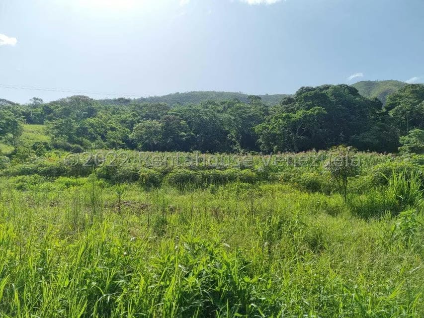 Terreno (Finca) en Venta en Aguirre, Carabobo - 5