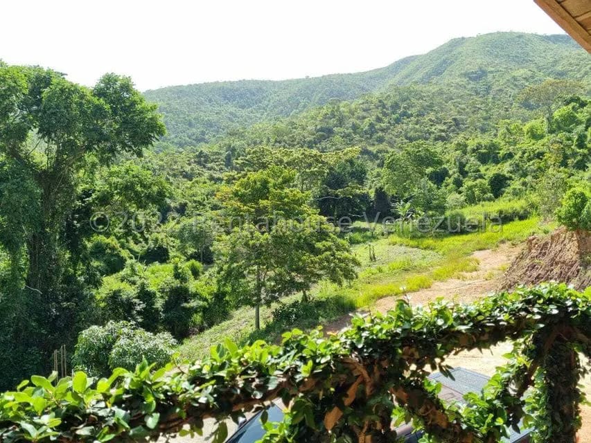 Terreno (Finca) en Venta en Aguirre, Carabobo - 43