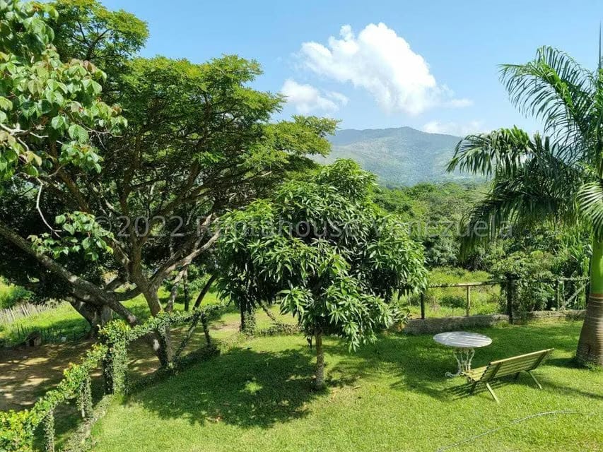 Terreno (Finca) en Venta en Aguirre, Carabobo - 44