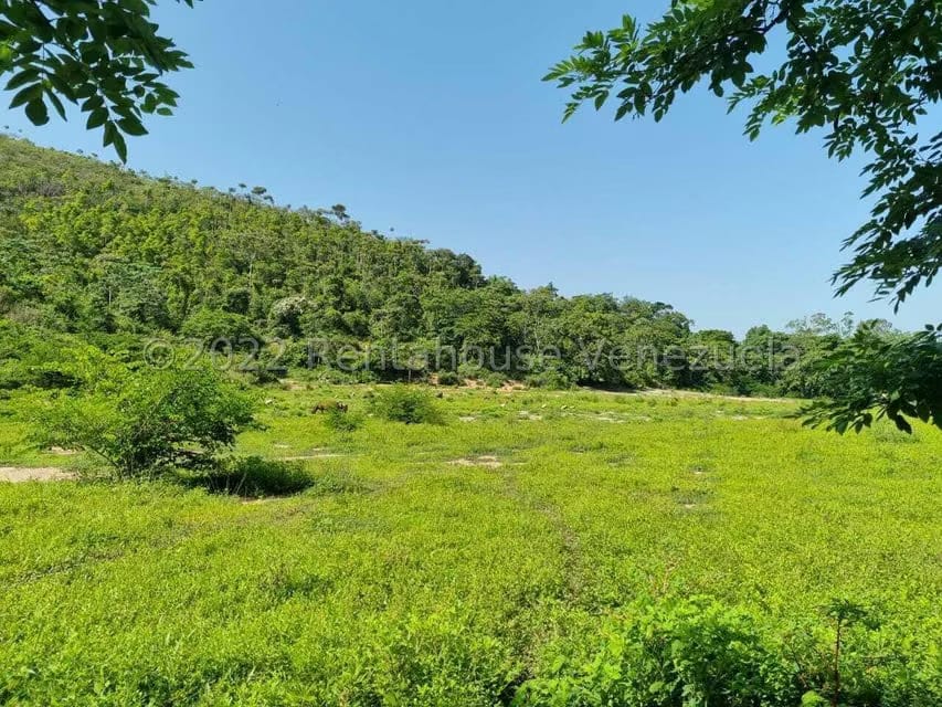Terreno (Finca) en Venta en Aguirre, Carabobo - 49