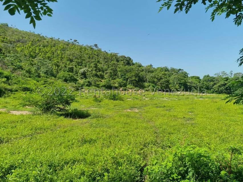 Terreno (Finca) en Venta en Aguirre, Carabobo - 6