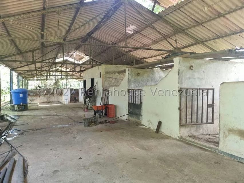 Terreno (Finca) en Venta en Aguirre, Carabobo - 53