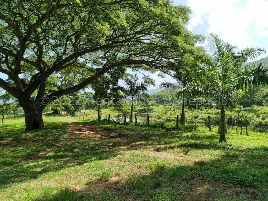 Terreno (Finca) en Venta en Aguirre, Carabobo - 56