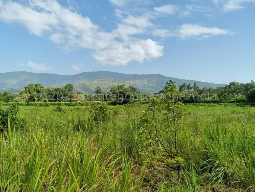 Terreno (Finca) en Venta en Aguirre, Carabobo - 57