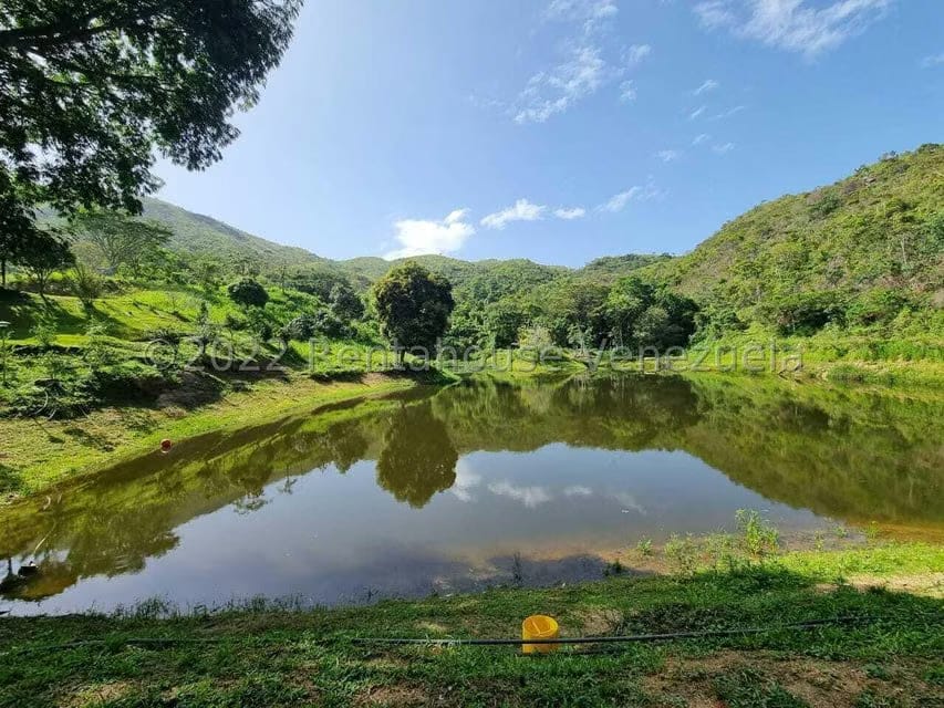 Terreno (Finca) en Venta en Aguirre, Carabobo - 58