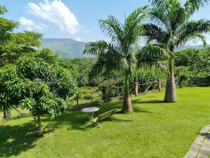 Terreno (Finca) en Venta en Aguirre, Carabobo - 7
