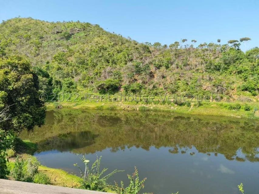 Terreno (Finca) en Venta en Aguirre, Carabobo - 62