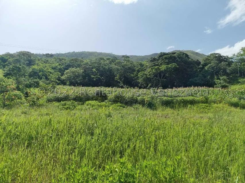 Terreno (Finca) en Venta en Aguirre, Carabobo - 66
