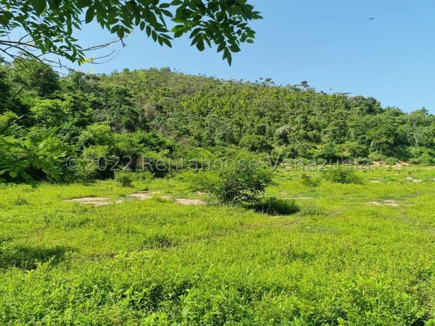 Terreno (Finca) en Venta en Aguirre, Carabobo - 10