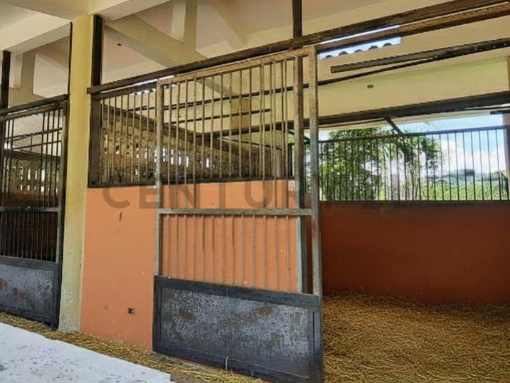 Caballeriza con potencial para Club/Posada en Margarita, La Asunción - 6