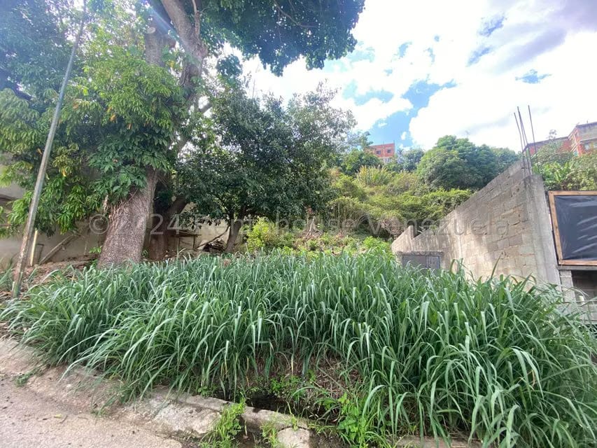 Terreno (Residencial) en Venta en La Trinidad, Distrito Metropolitano - 4
