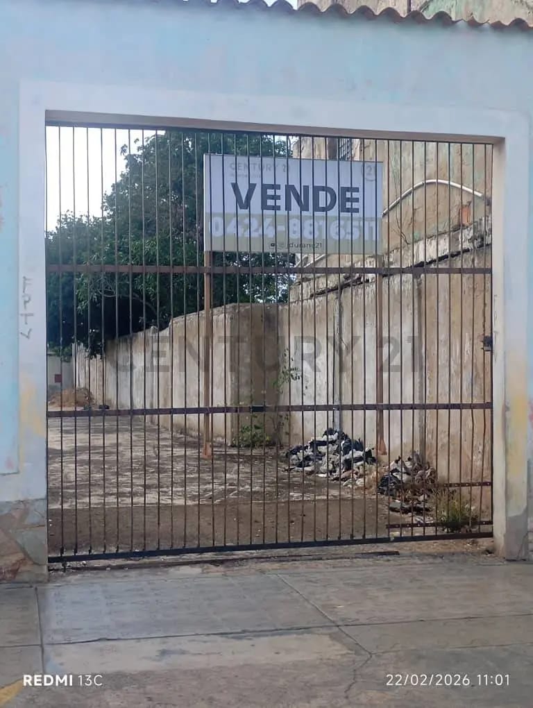 TERRENO FRENTE AL MAR EN LA BAHIA DE JUAN GRIEGO - 4
