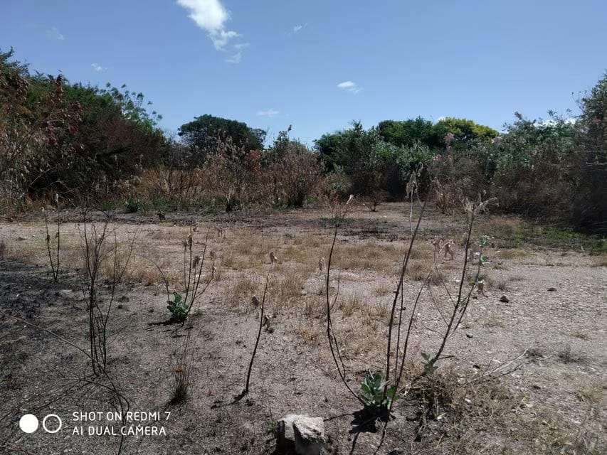 Terreno (Comercial) en Venta en Valle Jardin, Aragua - 7