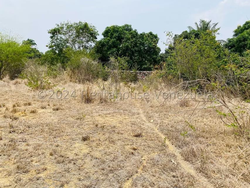 Terreno (Residencial) en Venta en La Mata, Lara - 12