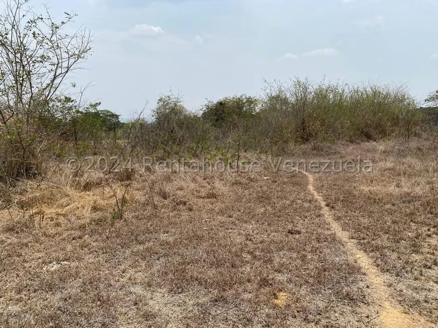 Terreno (Residencial) en Venta en La Mata, Lara - 15