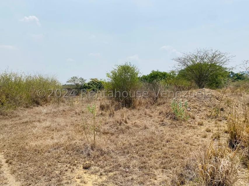 Terreno (Residencial) en Venta en La Mata, Lara - 16