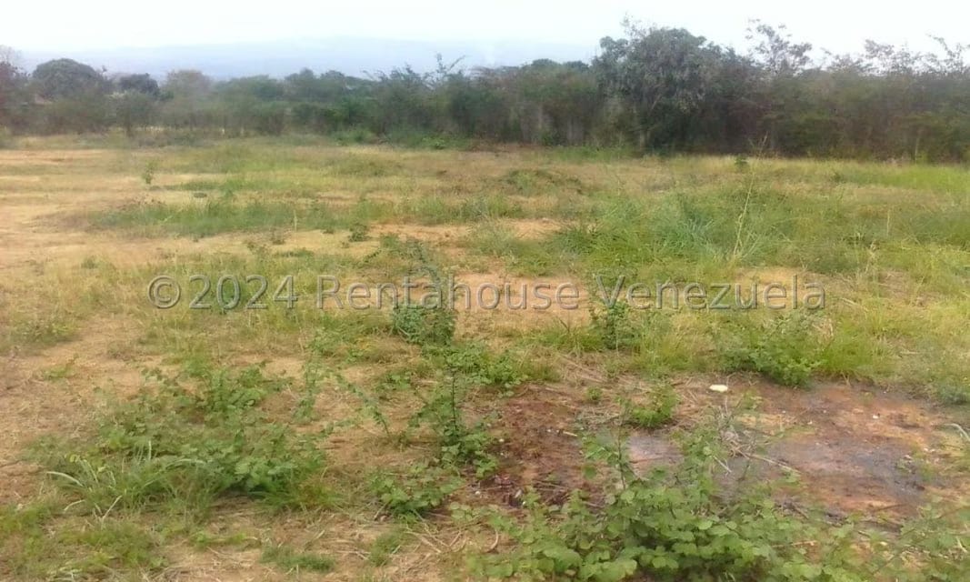 Terreno (Residencial) en Venta en La Mata, Lara - 21