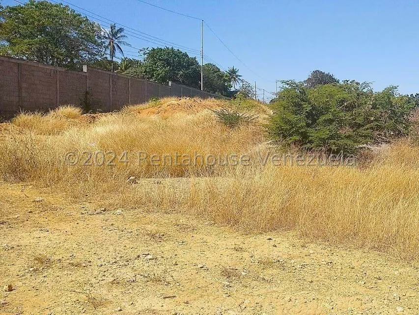 Terreno (Residencial) en Venta en La Mata, Lara - 8