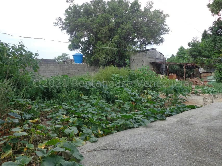 Terreno (Comercial) en Venta en La Piedad Norte, Lara - 6