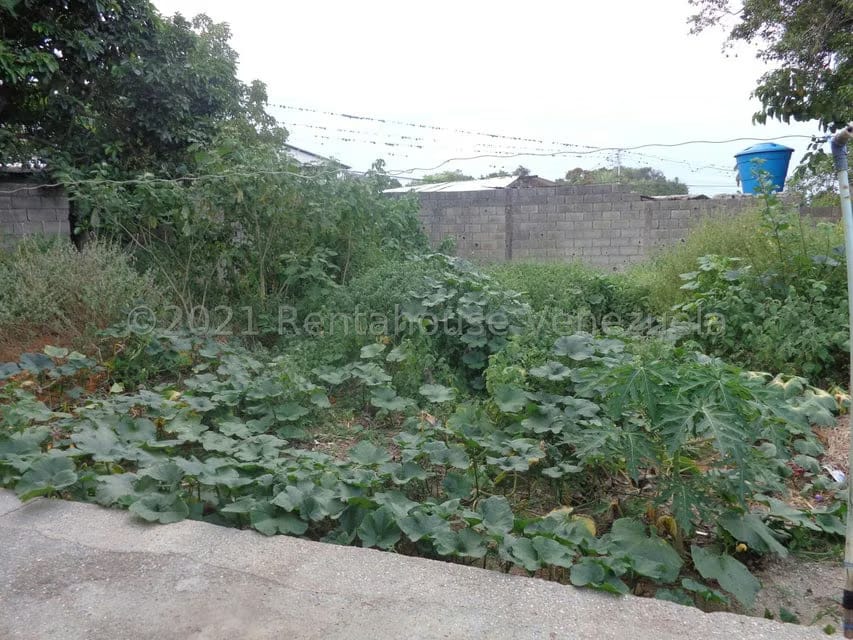 Terreno (Comercial) en Venta en La Piedad Norte, Lara - 7