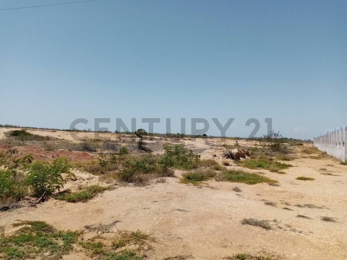 Terreno en Punta de Piedras ideal para galpón - 7