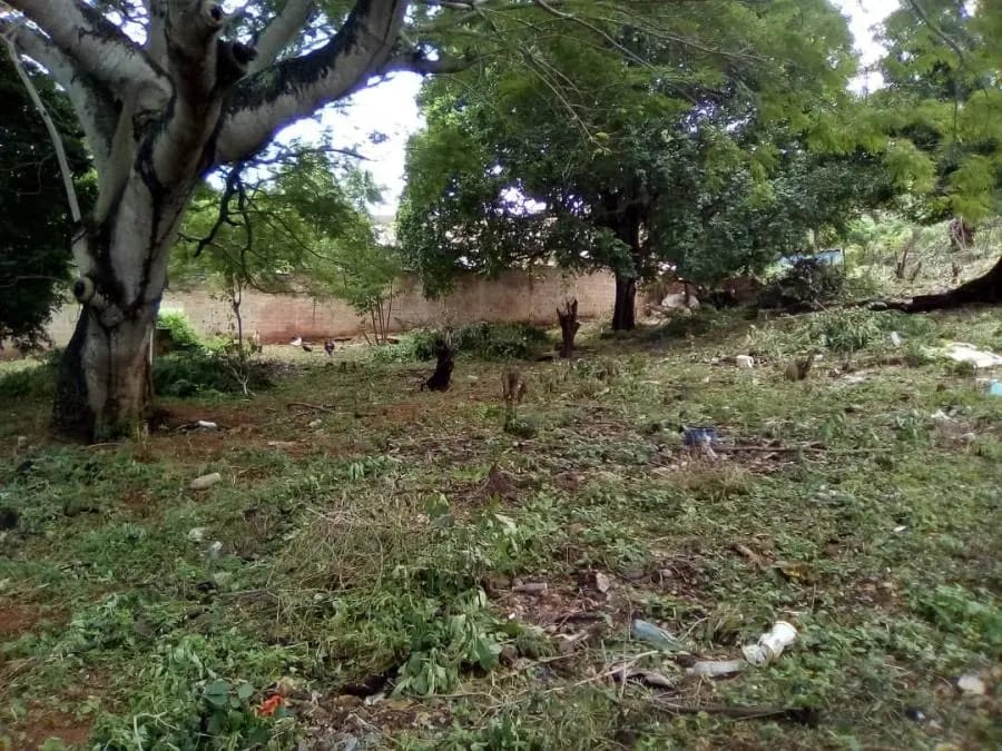 Terreno en Venta en MUNICIPIO ZAMORA Puerto Cumarebo - 2