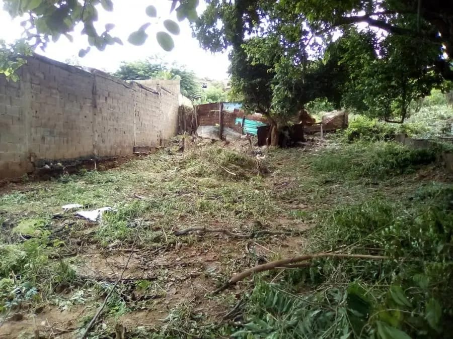 Terreno en Venta en MUNICIPIO ZAMORA Puerto Cumarebo - 3