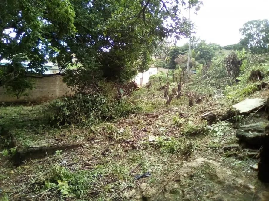 Terreno en Venta en MUNICIPIO ZAMORA Puerto Cumarebo - 4