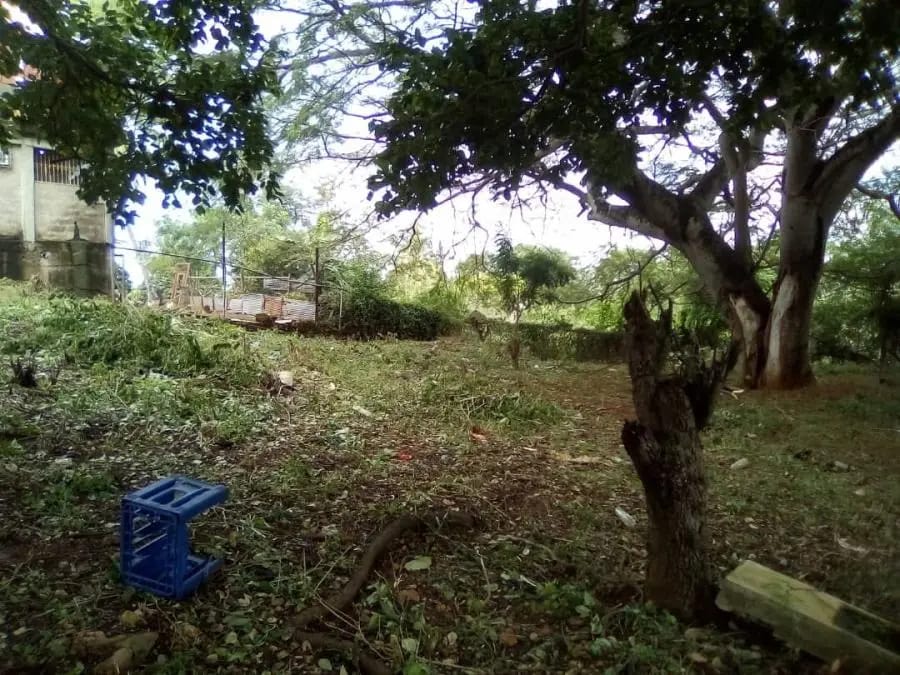 Terreno en Venta en MUNICIPIO ZAMORA Puerto Cumarebo - 5