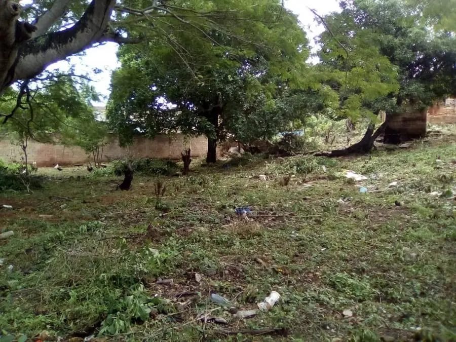 Terreno en Venta en MUNICIPIO ZAMORA Puerto Cumarebo - 6