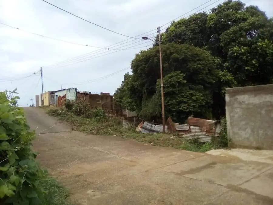 Terreno en Venta en MUNICIPIO ZAMORA Puerto Cumarebo - 7